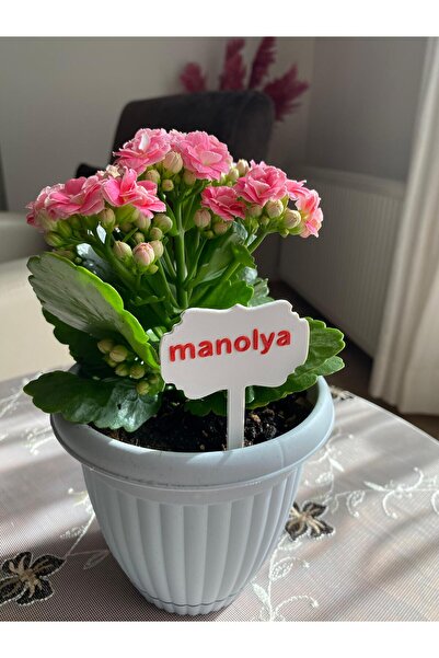 Nova Kişiye Özel Şık Ve Zarif Tasarımıyla BİTKİ Ve BAHÇE Etiketleri-Saksı-Bahçe-Çiçek-Etiket-Hobi-