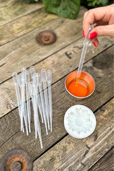 rufus concept Pastör Pipet (Damlalık) 3 ml (50 Adet)