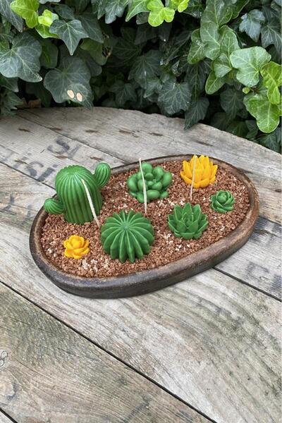 rufus concept Kaktüs Set-1 Mum Kalıbı ( 5 Adet Kalıp ) ( Silikon ) 1 Adet