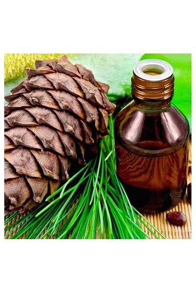 Lokman Herbal Vital Pine Oil - 20 Ml Capacitive