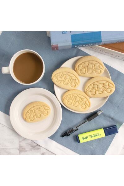 Hobist قالب كوكي من مادة الكلوروبلاست البيولوجية وقالب لب السكر