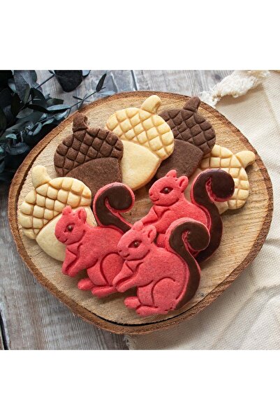 Hobist قالب بسكويت السنجاب والبندق - قالب لب السكر