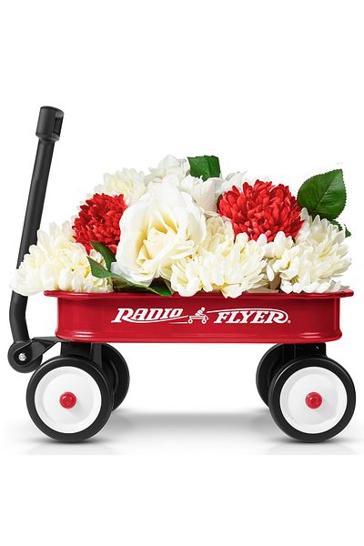 RADIO FLYER Radio Flyer Little Red Wagon toy stroller