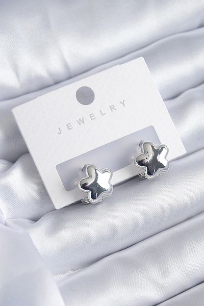 Clariss Silver Color Star Model Star Model Brass Women's Earrings