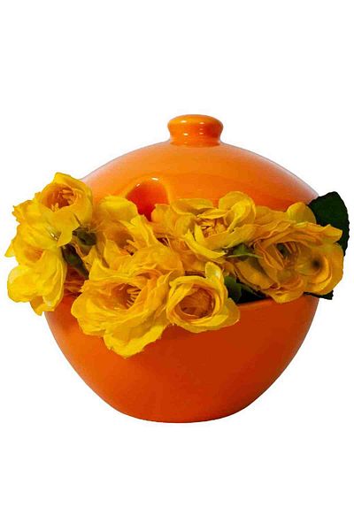 Cesiro Sugar storage box, 200 ml, Tropical Orange