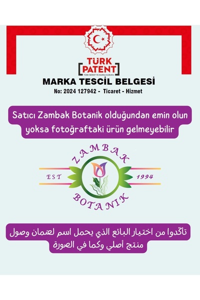 Zambak Hanımeli (LONİCERA JAPONİCA) - Tatlı Kokulu Ve Hızlı Büyüyen Sarmaşık - Sap Dahil Değildir