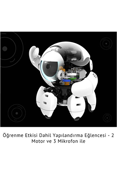 Kosmos Akıllı Robo-Arkadaşınız, Çocuklar için Robot, Deney Kutusu 8-12 Yaş Arası