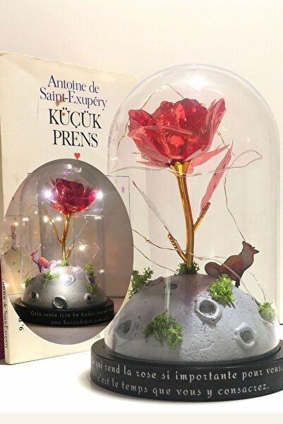 Art inside Küçük Prens Diorama El Yapımı Led Aydınlatmalı Hediye Fanus Sonsuz...