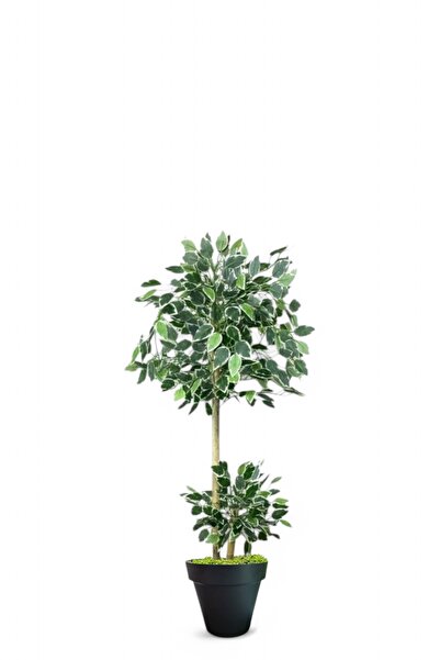 ERHAN FLOWERS ÇİÇEK & DEKORASYON 120 cm ficus yapay ağaç bambu 2 gövdeli siyah plastik saksı