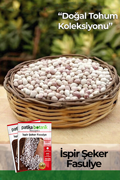Patika Botanik 50 Adet Ispir Şeker Fasulye Tohumu