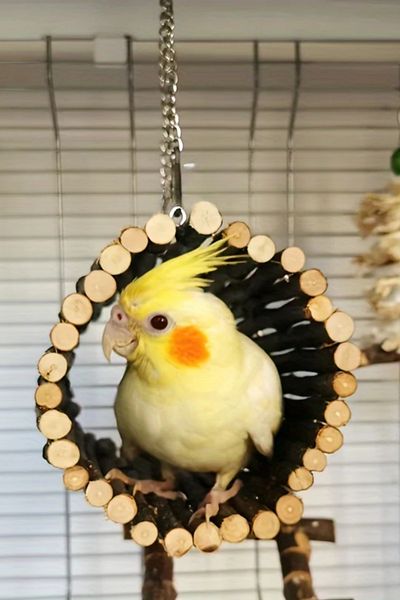 Alyones Parrot Hideout Swing Toy - Chewing and Climbing Area with Natural Wood Beads