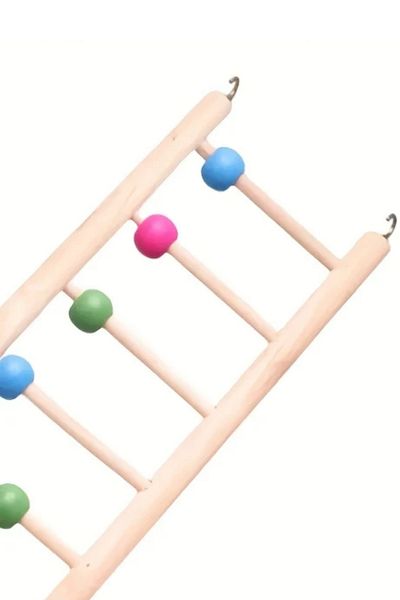 Alyones Wooden Parrot Climbing Ladder with Colorful Beads - Chewable Toy