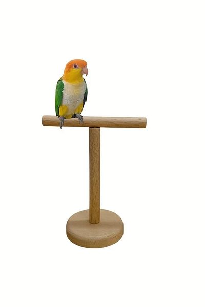 Alyones Natural Wood Desktop Parrot Play and Training Platform