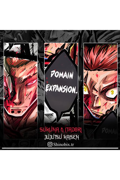 SHINOBIX Jujutsu Kaisen Anime Sukuna Ryomen & Itadori Yuji Oversize T-Shirt