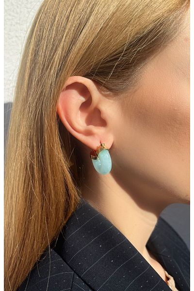 Bijou Luz Domed Hoop Earrings