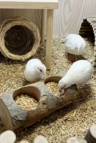 Alyones Ahşap Sincap Aktivite Merkezi - Tırmanma ve Diş Bileme Oyun Yapısı