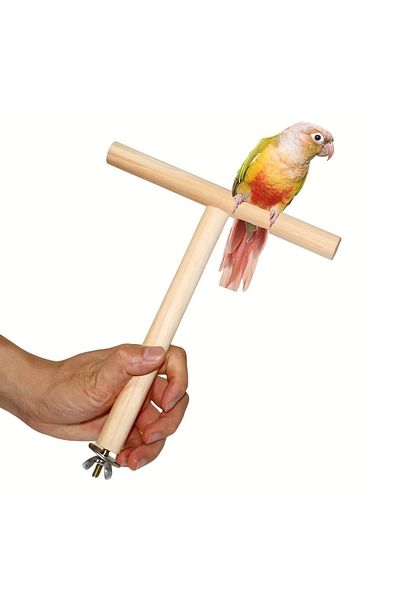 Alyones 19.99cm T-Shaped Wooden Bird Platform - for Small to Medium Parrots
