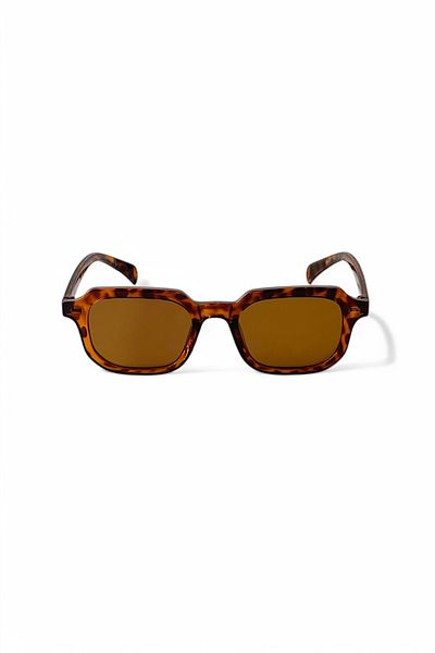 REN EYEWEAR London Classic Unisex Leopard Frame New Season Popular Women's Men's Glasses / Ren Eyewear