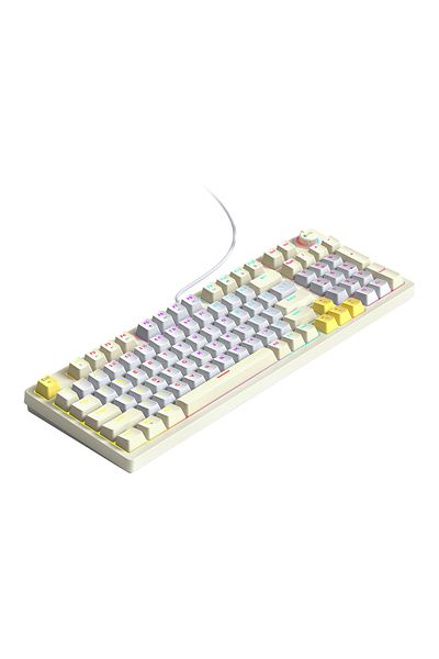T-WOLF T50 Wired Gaming Keyboard, 97 Keys Blue Switch Mechanical Keyboard with Rgb Backlit and Multimedia