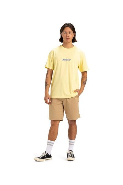 Quiksilver Quicksilver Popcorn Fineline Ss Men's T-Shirt Eqyzt08062-Yem0