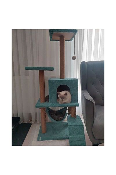 Reyo Luxury Cat Scratch Playhouse - Pet B-07 Turquoise