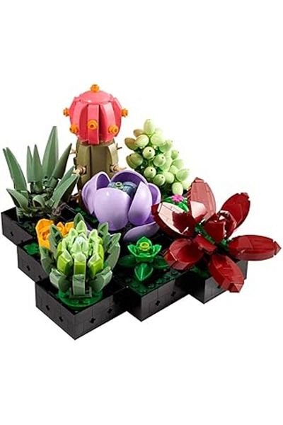 Mu Art Ahşap Lego ®   Icons Succulents 10309 - Complement to the Lego Botanical Collection for Adults Displayed