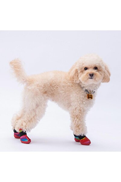 Pawstar Peru Desenli Köpek Ayakkabısı-Köpek Patiği