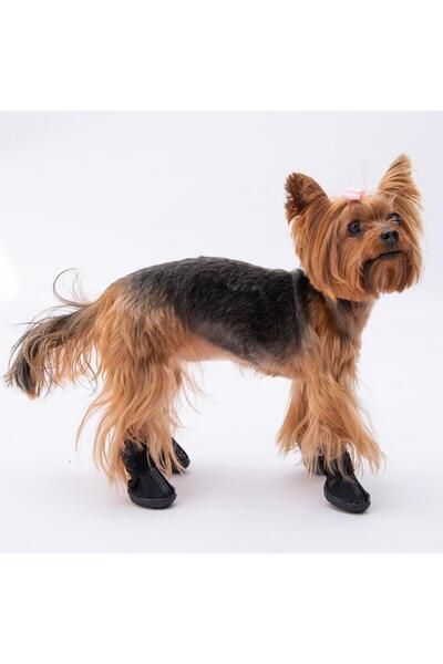 Pawstar Siyah Köpek Ayakkabısı-Köpek Patiği