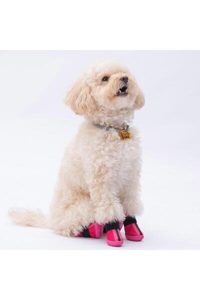 Pawstar Pembe Köpek Ayakkabısı-Köpek Patiği