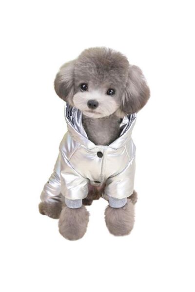 Glipet Bright Gray Bomber Jacket and Dog Outfit Size m