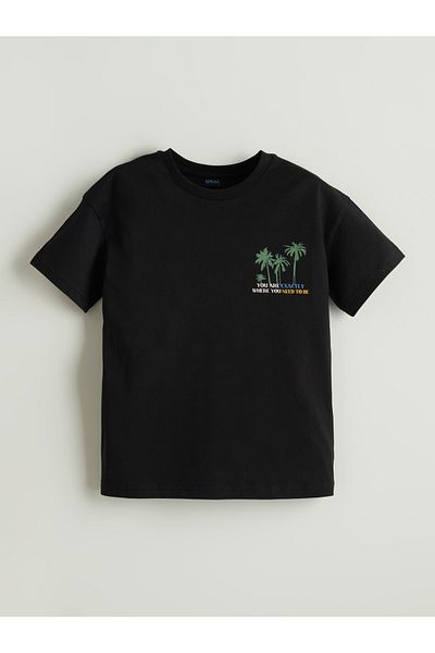 LC Waikiki Crew Neck Boy's T-Shirt