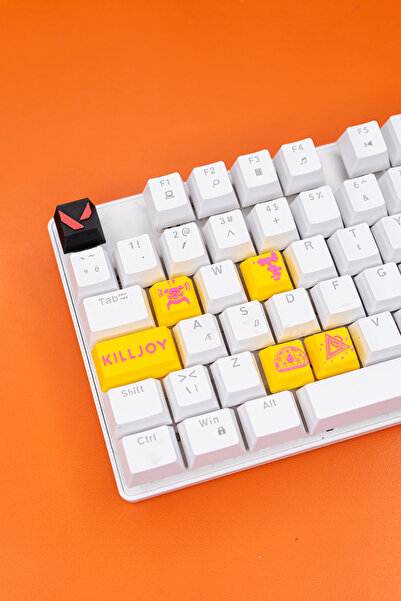Makerpax Valorant Killjoy Keycaps, Q-E-X-C Mekanik Klavye Tuşu