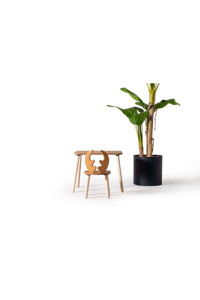 AlfaCountry Mobilya Montessori Çocuk Çalışma ve Aktivite Masası Masif Kayın A...