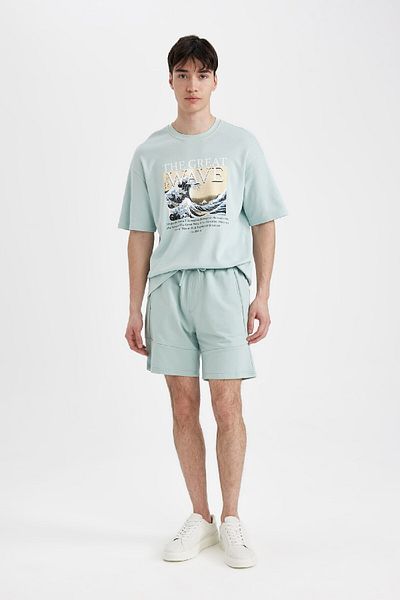 DeFacto Art Hokusai Comfort - Tricou cu mânecă scurtă din țesătură grea, cu o formă relaxată, cu decolteu triplu A8916ax24sp