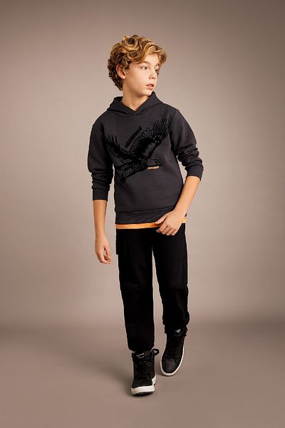 DeFacto Boy's Printed Hooded Thick Sweatshirt B6316a823cw