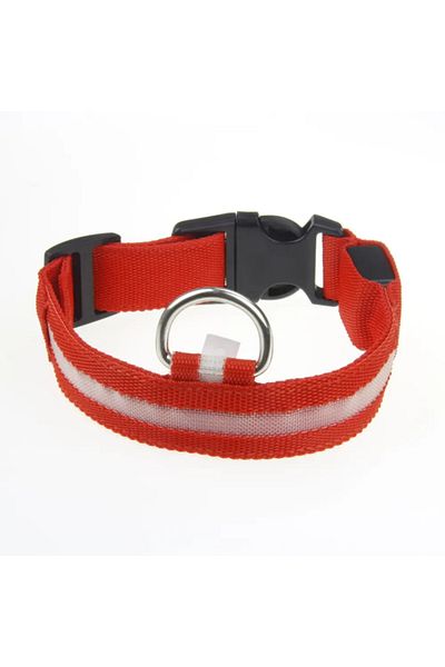 Pet Aksesuar Led Lighted Collar, Dog Collar, m Size