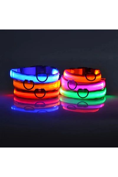 Pet Aksesuar Led Lighted Collar, Dog Collar, m Size