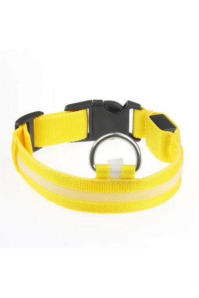 Pet Aksesuar Led Lighted Collar, Dog Collar, m Bedan