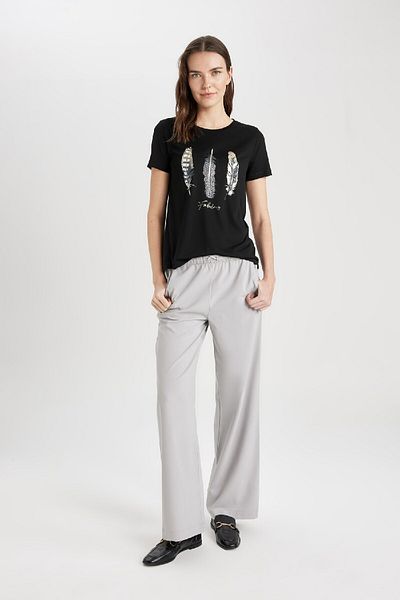 DeFacto Regular Fit Crew Neck Printed Short Sleeve T-Shirt C2110ax24sp