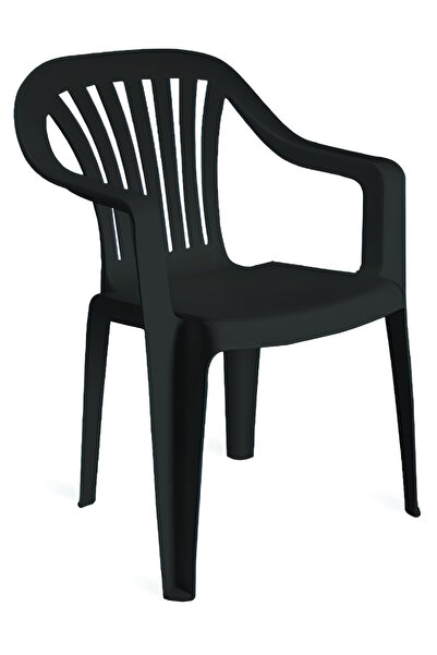 Papatya Tropik Plastik Koltuk Siyah - Plastik Bahçe Balkon Sandalyesi