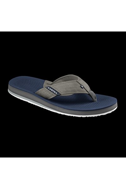 Cobian مضاد الفيروسات القهقرية 2