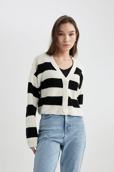 DeFacto Comfortable Cut Striped Knitwear Cardigan - V-Neck C2050ax24sp