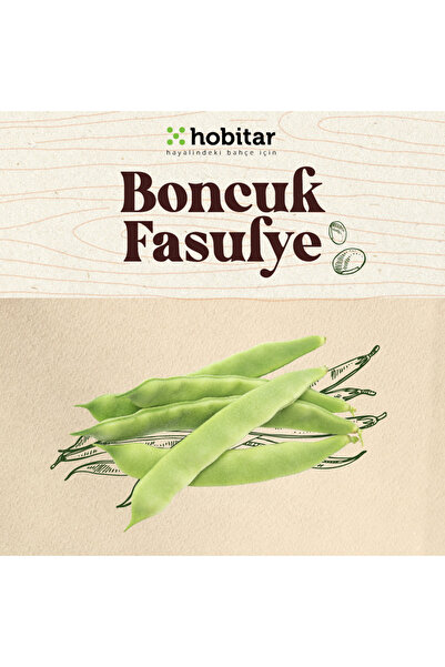 Genta Hobitar Boncuk Fasulye Tohumu