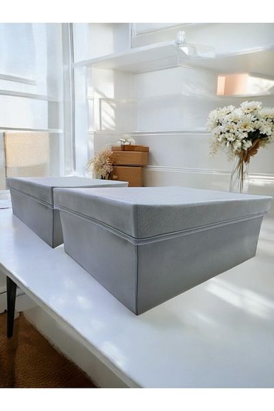 Balkan Room 2 Pieces Flip Lid Cabinet Organizer Box Multi-Purpose Storage Box Xxlarge 50X40X20 cm