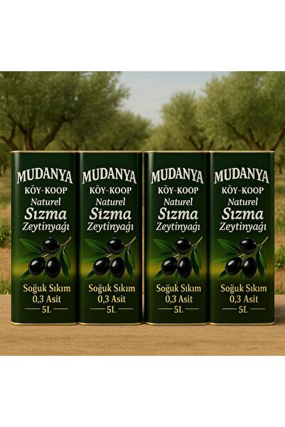 vakıfköy Mudanya 4 ADET 20 Litre Naturel zeytinyağı soğuk sıkım 0.3asit
