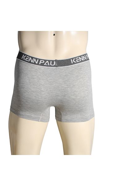 Kennpaul S->6Xl Gray Plain Cotton Luxury Boxer Soft | Plus Size