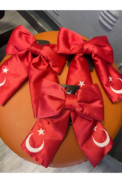 gozdeasutayaccessory April 23 Bow Buckle