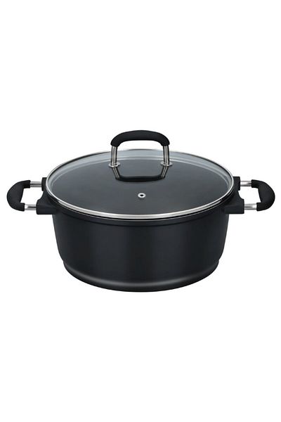 Alpina Oven and stovetop pot with non-stick surface 24 cm