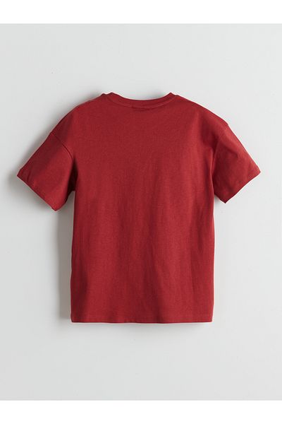 LC Waikiki Crew Neck Boy's T-Shirt