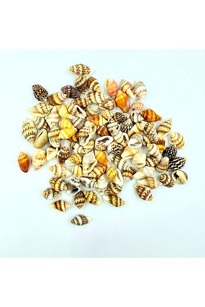 yiğit aksesuar 30Pcs Hollowed-Out Seashell Pendant Bracelet Ornaments